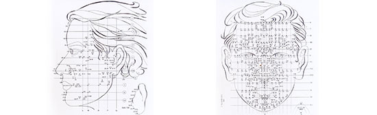 Schema originale Riflessologia facciale  Dien Chan