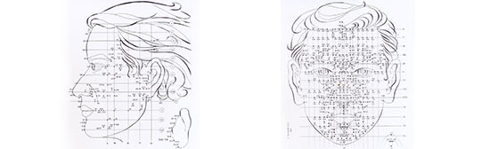 Schema originale Riflessologia facciale Dien Chan